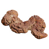 Coprolite di dinosauro