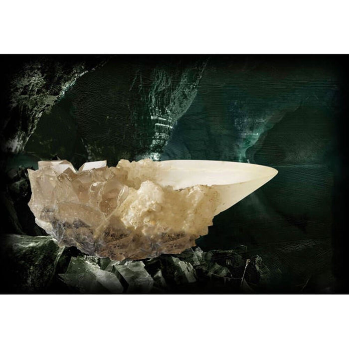 Harry Potter Kristallkelch, Filmreplik — getDigital