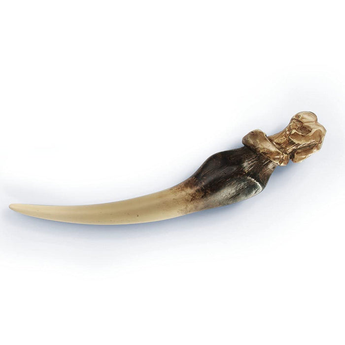 Harry Potter Tom Riddles Tagebuch mit Basiliskenzahn als Skulptur
