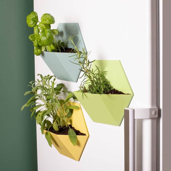 Magnetische Blumentöpfe im 3er Set – Mit Kräutern am Kühlschrank