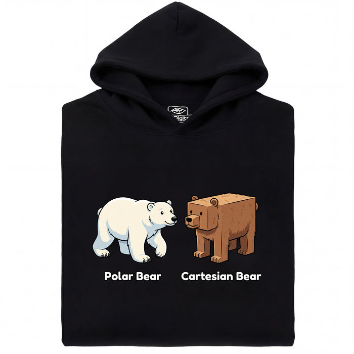 Cartesian Bear - Main view Hoodie Black