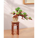 productImage-23110-immergruener-kiefernbonsai-holzbausatz-1.jpg