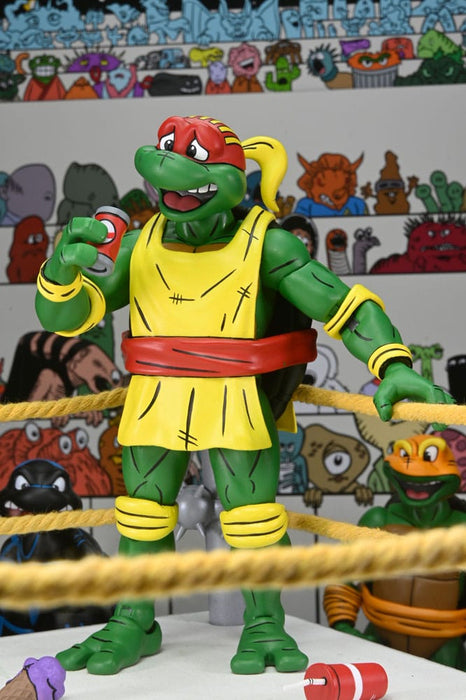 Teenage Mutant Ninja Turtles Stump Wrestling Action Figures 4-Pack (Archie Comics)