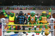 Teenage Mutant Ninja Turtles Stump Wrestling Action Figures 4-Pack (Archie Comics)
